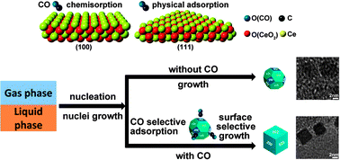 Graphical abstract: Surface selective growth of ceria nanocrystals by CO absorption