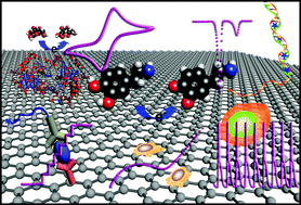 Graphical abstract: Electrochemical biosensors on platforms of graphene