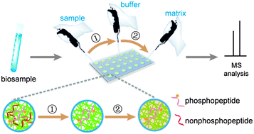 Graphical abstract: REPO4 (RE = La, Nd, Eu) affinity nanorods modified on a MALDI plate for rapid capture of target peptides from complex biosamples