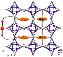 Graphical abstract: MOF-76: from a luminescent probe to highly efficient UVI sorption material