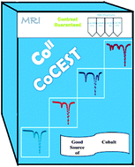 Graphical abstract: CoCEST: cobalt(ii) amide-appended paraCEST MRI contrast agents