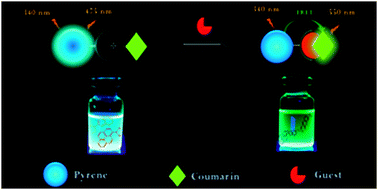 Graphical abstract: Highly effective discrimination of catecholamine derivatives via FRET-on/off processes induced by the intermolecular assembly with two fluorescence sensors