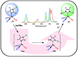 Graphical abstract: A dinitrosyl iron complex as a platform for metal-bound imidazole to N-heterocyclic carbene conversion
