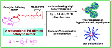 Graphical abstract: A Pd–diimine catalytic inimer for synthesis of polyethylenes of hyperbranched-on-hyperbranched and star architectures