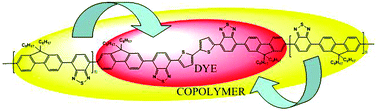 Graphical abstract: A core copolymer approach to improve the gain properties of a red-emitting molecule
