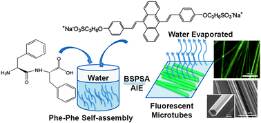 Graphical abstract: Self-assembly of diphenylalanine peptides into microtubes with “turn on” fluorescence using an aggregation-induced emission molecule