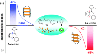 Graphical abstract: Na+/K+ switch of enantioselectivity in G-quadruplex DNA-based catalysis