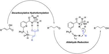 Graphical abstract: Tandem decarboxylative hydroformylation–hydrogenation reaction of α,β-unsaturated carboxylic acids toward aliphatic alcohols under mild conditions employing a supramolecular catalyst system