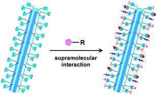 Graphical abstract: A supramolecular strategy to assemble multifunctional viral nanoparticles