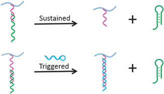 Graphical abstract: Programmable hydrogels for the controlled release of therapeutic nucleic acid aptamers via reversible DNA hybridization