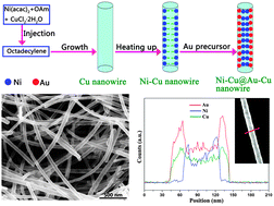 Graphical abstract: Injection synthesis of Ni–Cu@Au–Cu nanowires with tunable magnetic and plasmonic properties