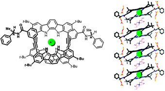 Graphical abstract: A chiral indolocarbazole foldamer displaying strong circular dichroism responsive to anion binding