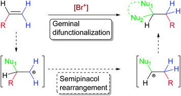Graphical abstract: Stereoselective geminal difunctionalization of vinyl arenes mediated by the bromonium ion
