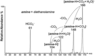 Graphical abstract: The multifaceted dissociation chemistry of anionic aggregates containing functionalised amines and CO2