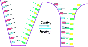 Graphical abstract: A thermo-driven DNA zipper