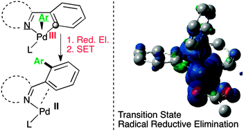 Graphical abstract: Radical Pd(iii)/Pd(i) reductive elimination in palladium sequences