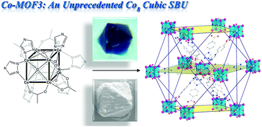 Graphical abstract: An unprecedented CoII cuboctahedron as the secondary building unit in a Co-based metal–organic framework