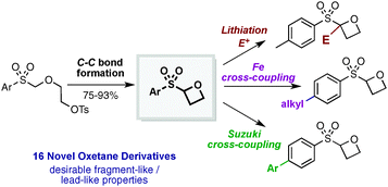 Graphical abstract: 2-(Aryl-sulfonyl)oxetanes as designer 3-dimensional fragments for fragment screening: synthesis and strategies for functionalisation