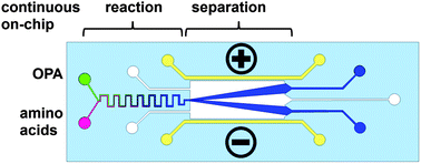Graphical abstract: Integrating continuous microflow reactions with subsequent micropreparative separations on a single microfluidic chip