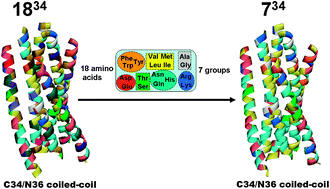 Graphical abstract: Exchangeability of amino acid residues with similar physicochemical properties in coiled-coil interactions