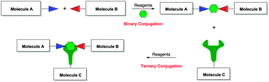Graphical abstract: A tetrazine templated method for the synthesis of ternary conjugates
