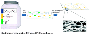 Graphical abstract: Synthesis of solvent stable polymeric membranes via UV depth-curing