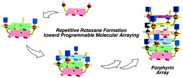 Graphical abstract: Repetitive stepwise rotaxane formation toward programmable molecular arrays