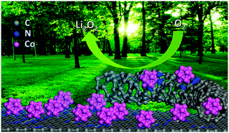 Graphical abstract: A composite of Co nanoparticles highly dispersed on N-rich carbon substrates: an efficient electrocatalyst for Li–O2 battery cathodes