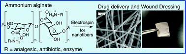 Graphical abstract: Facile preparation of ammonium alginate-derived nanofibers carrying diverse therapeutic cargo