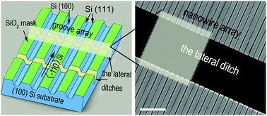 Graphical abstract: Highly ordered GaN-based nanowire arrays grown on patterned (100) silicon and their optical properties