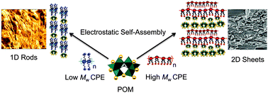 Graphical abstract: Charge-modulated self-assembly and growth of conjugated polyelectrolyte–polyoxometalate hybrid networks