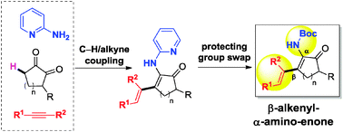 Graphical abstract: Catalytic intermolecular β-C–H alkenylation of α-enamino-ketones with simple alkynes