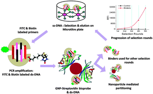 Graphical abstract: Nanobioprobe mediated DNA aptamers for explosive detection