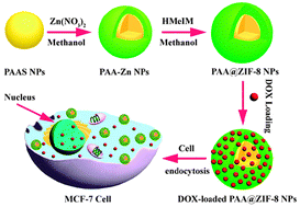 Graphical abstract: Polyacrylic acid@zeolitic imidazolate framework-8 nanoparticles with ultrahigh drug loading capability for pH-sensitive drug release