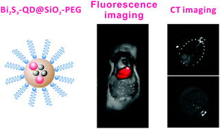 Graphical abstract: Reverse microemulsion-mediated synthesis of Bi2S3–QD@SiO2–PEG for dual modal CT–fluorescence imaging in vitro and in vivo