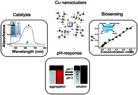 Graphical abstract: Stable Cu nanoclusters: from an aggregation-induced emission mechanism to biosensing and catalytic applications