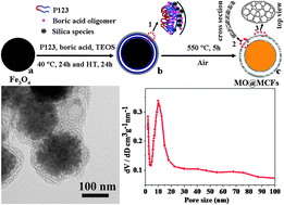 Graphical abstract: Large pore mesostructured cellular silica foam coated magnetic oxide composites with multilamellar vesicle shells for adsorption