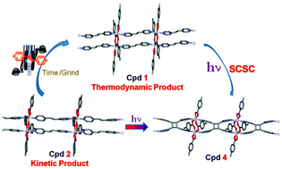 Graphical abstract: Photoreactivity of polymorphs of a ladder polymer with criss-cross and parallel orientations of C [[double bond, length as m-dash]] C bonds