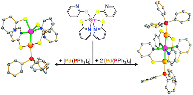 Graphical abstract: Pyridine-2-thiolate bridged tin–palladium complexes with Sn(PdN2Cl2), Sn(PdN2S2), Sn(PdN2C2) and Sn(Pd2N4) skeletons
