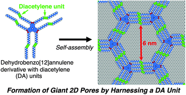 Graphical abstract: Harnessing by a diacetylene unit: a molecular design for porous two-dimensional network formation at the liquid/solid interface