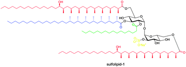 Graphical abstract: Total synthesis of sulfolipid-1