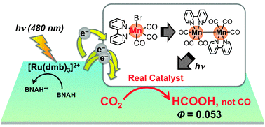 Graphical abstract: Photocatalytic CO2 reduction using a Mn complex as a catalyst