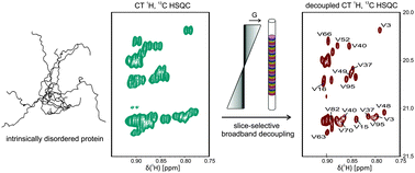 Graphical abstract: Enhancing the resolution of multi-dimensional heteronuclear NMR spectra of intrinsically disordered proteins by homonuclear broadband decoupling