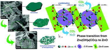 Graphical abstract: Synthesis of hierarchically structured ZnO nanomaterials via a supercritical assisted solvothermal process