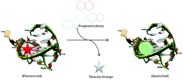 Graphical abstract: Targeting a c-MYC G-quadruplex DNA with a fragment library
