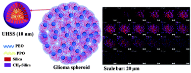 Graphical abstract: Facile synthesis of ultra-small hybrid silica spheres for enhanced penetration in 3D glioma spheroids