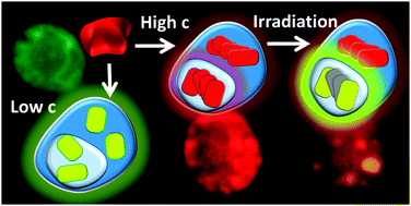 Graphical abstract: Photo-tunable multicolour fluorescence imaging based on self-assembled fluorogenic nanoparticles