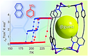 Graphical abstract: Two- and one-step cooperative spin transitions in Hofmann-like clathrates with enhanced loading capacity