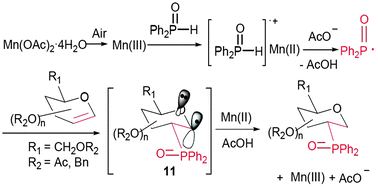 Graphical abstract: Novel regio- and stereoselective phosphonyl radical addition to glycals promoted by Mn(ii)–air: syntheses of 1,2-dideoxy 2-C-diphenylphosphinylglycopyranosides