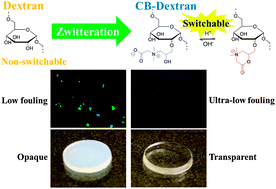 Graphical abstract: Zwitteration of dextran: a facile route to integrate antifouling, switchability and optical transparency into natural polymers